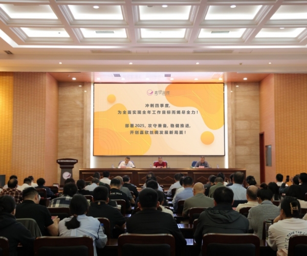 尊龙时凯丝绸2024年三季度经济形势剖析会顺遂召开