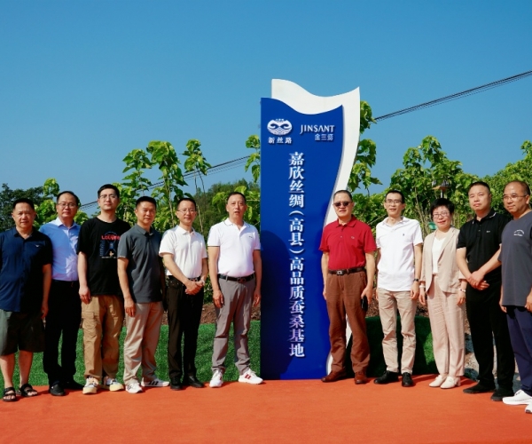 尊龙时凯丝绸（高县）高品质蚕桑；卣浇遗疲